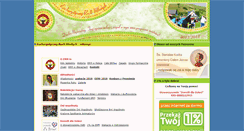 Desktop Screenshot of erm.pl